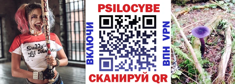 Купить  Уварово  Псилоцибиновые грибы Magic Shrooms 